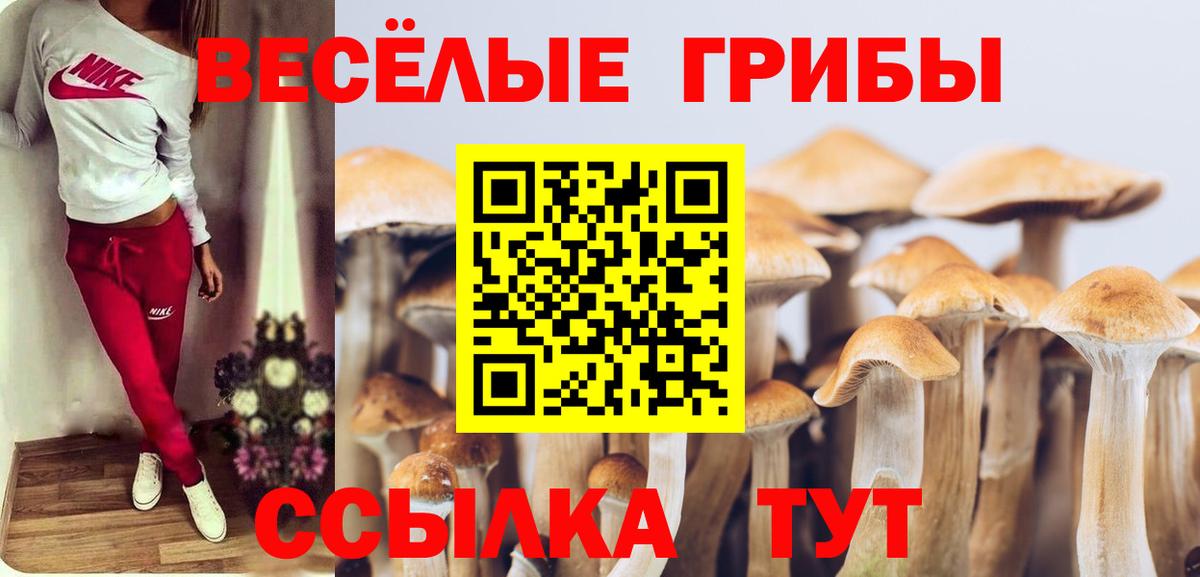 Галлюциногенные грибы Magic Shrooms Кохма
